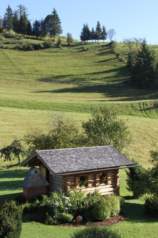 Ferienappartements Schrattengut Abtenau Luaran gambar