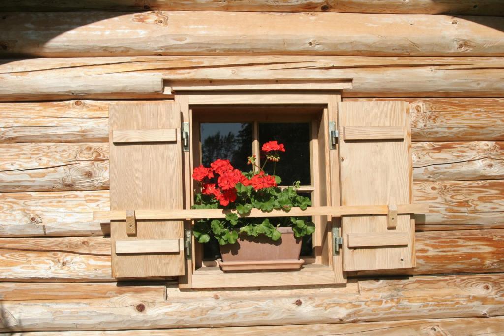 Ferienappartements Schrattengut Abtenau Luaran gambar